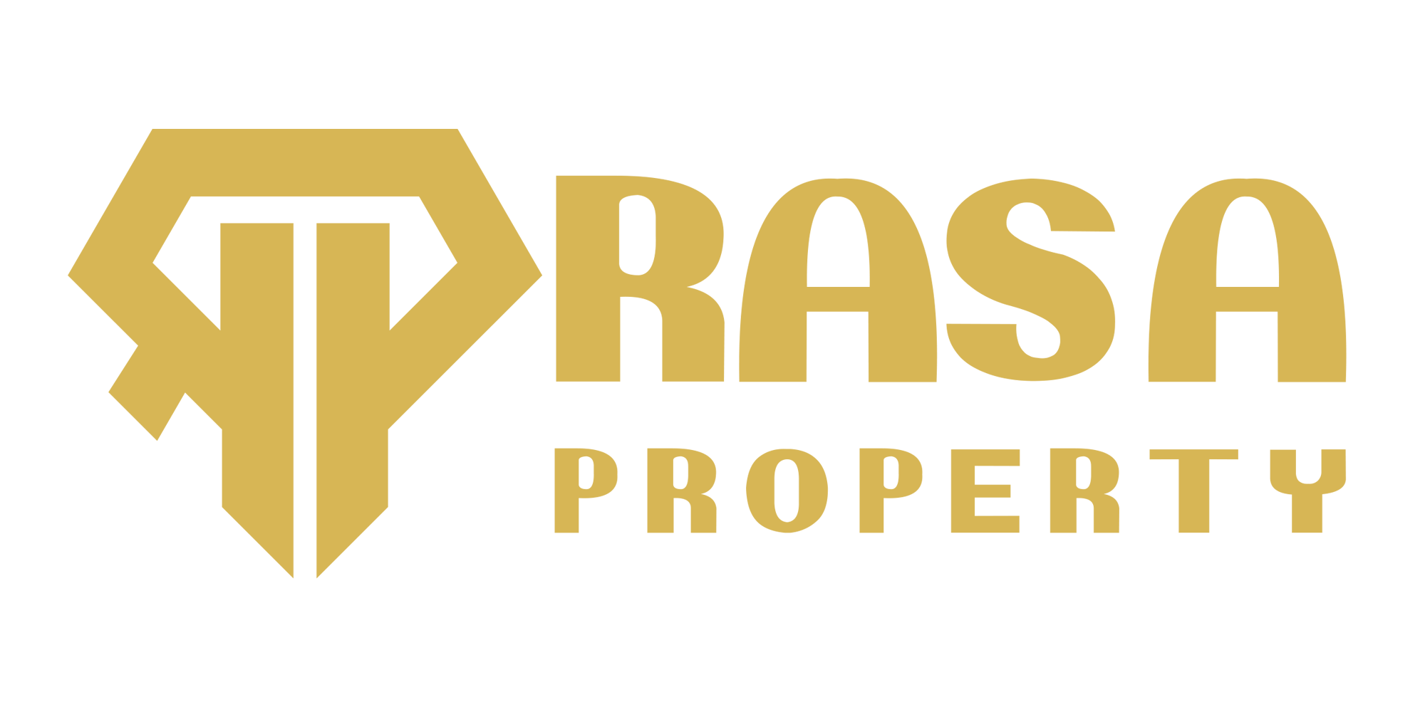رسا پروپرتی